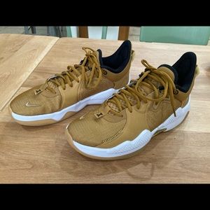 Nike PG 5